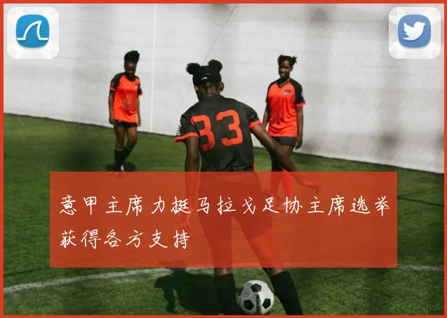 意甲主席力挺马拉戈足协主席选举获得各方支持