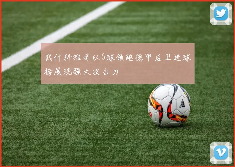 武什科维奇以6球领跑德甲后卫进球榜展现强大攻击力